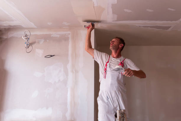 Professional Dry wall and painting in Folkston, GA